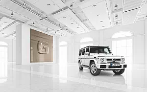   Mercedes-Benz G-class Designo - 2015