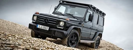 Mercedes-Benz G 350 d Professional - 2016