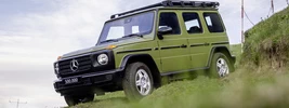 Mercedes-Benz G-class 500000th - 2023