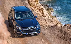   Mercedes-Benz GLE 250 d 4MATIC - 2009