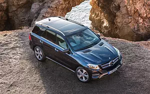   Mercedes-Benz GLE 250 d 4MATIC - 2009