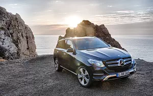   Mercedes-Benz GLE 250 d 4MATIC - 2009