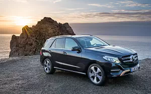   Mercedes-Benz GLE 250 d 4MATIC - 2009