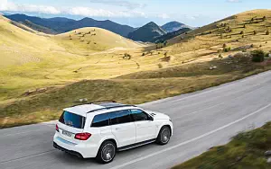   Mercedes-AMG GLS 63 4MATIC - 2009