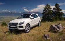   Mercedes-Benz ML350 4MATIC BlueEFFICIENCY - 2011