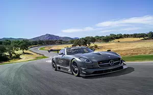   Mercedes-Benz SLS AMG GT3 45th Anniversary - 2012