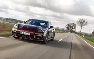   Porsche Panamera 4 E-Hybrid SportDesign Package (Cherry Metallic) - 2020