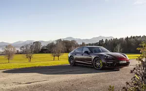   Porsche Panamera 4 E-Hybrid SportDesign Package (Cherry Metallic) - 2020