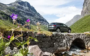   Skoda Kodiaq - 2016