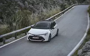   Toyota Corolla Hatchback Hybrid 1.8L - 2019